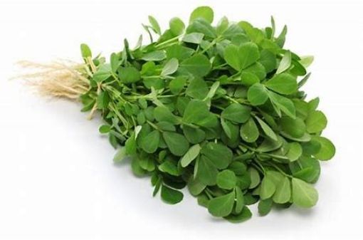 Picture of FRZN METHI