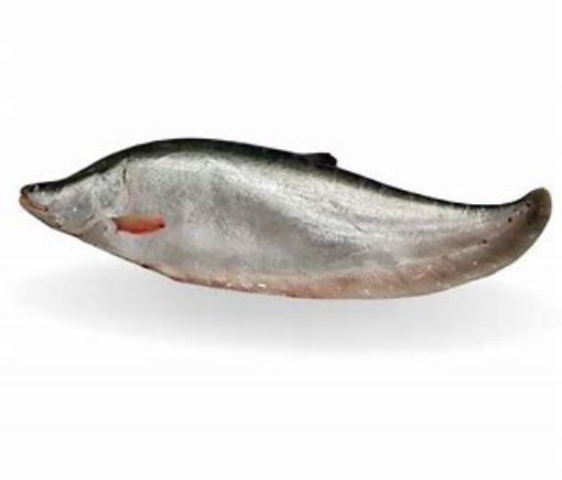 Picture of CHITAL FISH PER LB