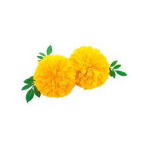 Picture of Marigold - yellow