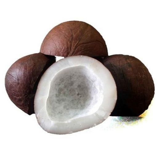 Picture of Dry Coconut   DR
