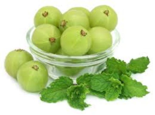 Picture of AMLA MINT