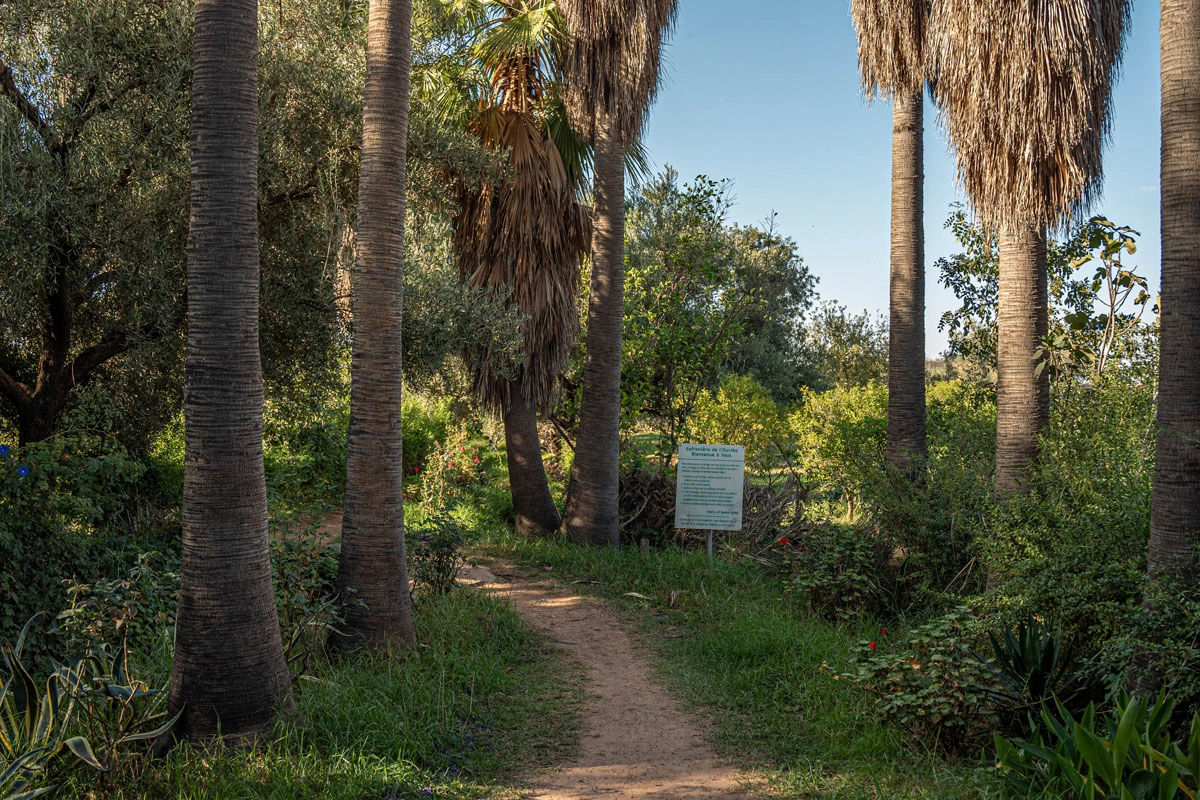 Le Jardin du Safran - Saffron Garden & Organic Farm 4