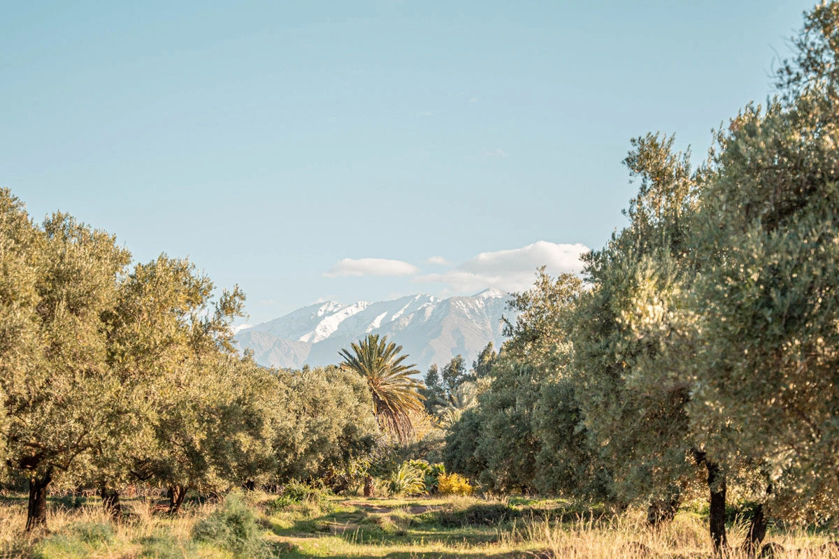 Le Jardin du Safran - Saffron Garden & Organic Farm 6