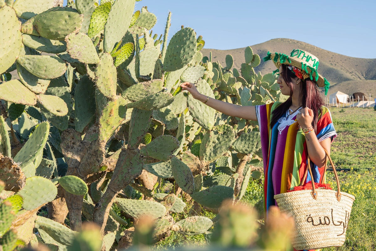 Shepherding Experience with Traditional Tea 2