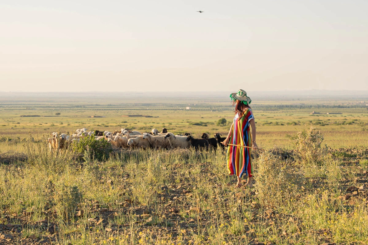 Shepherding Experience with Traditional Tea 3