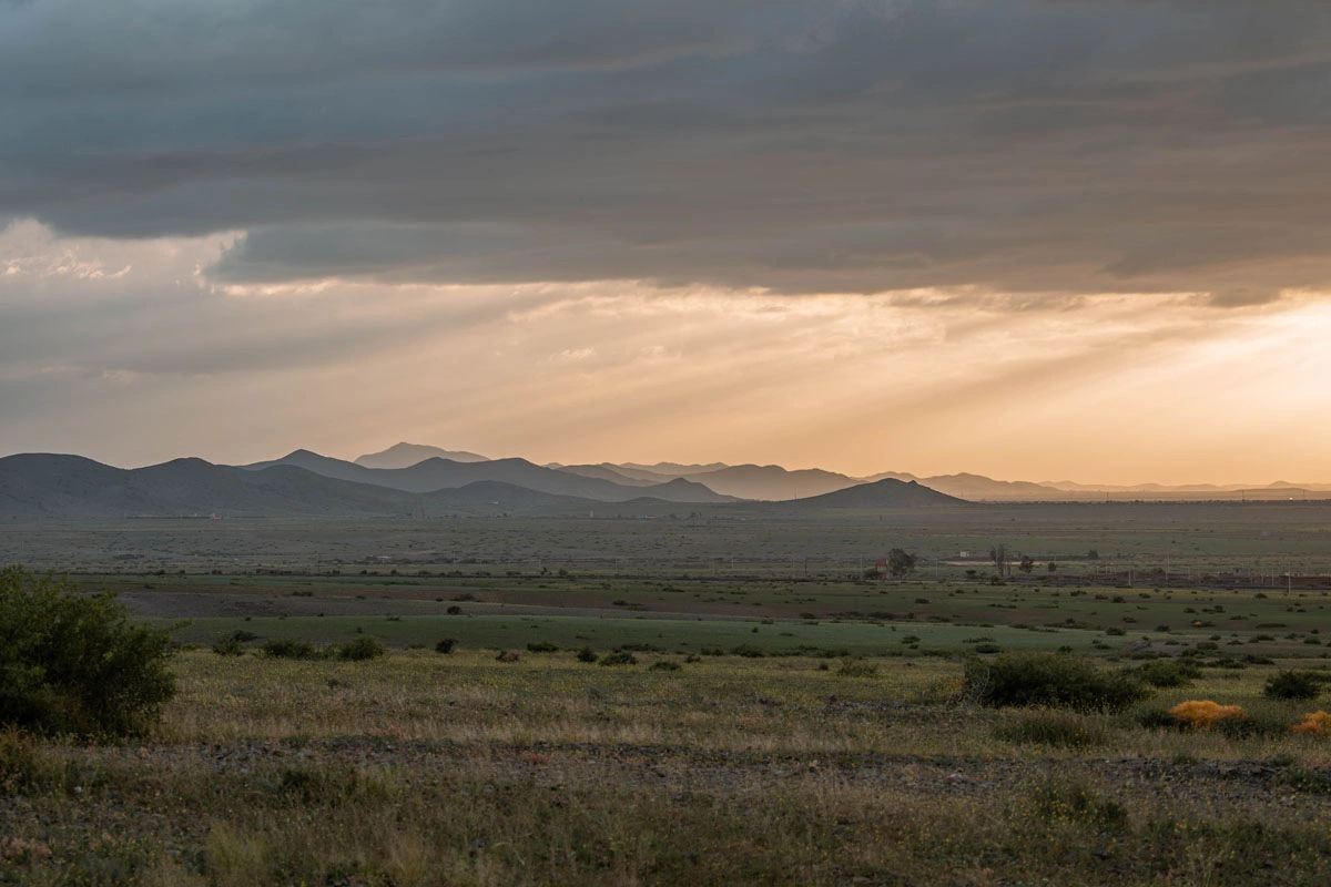 Shepherding Experience with Traditional Tea 6