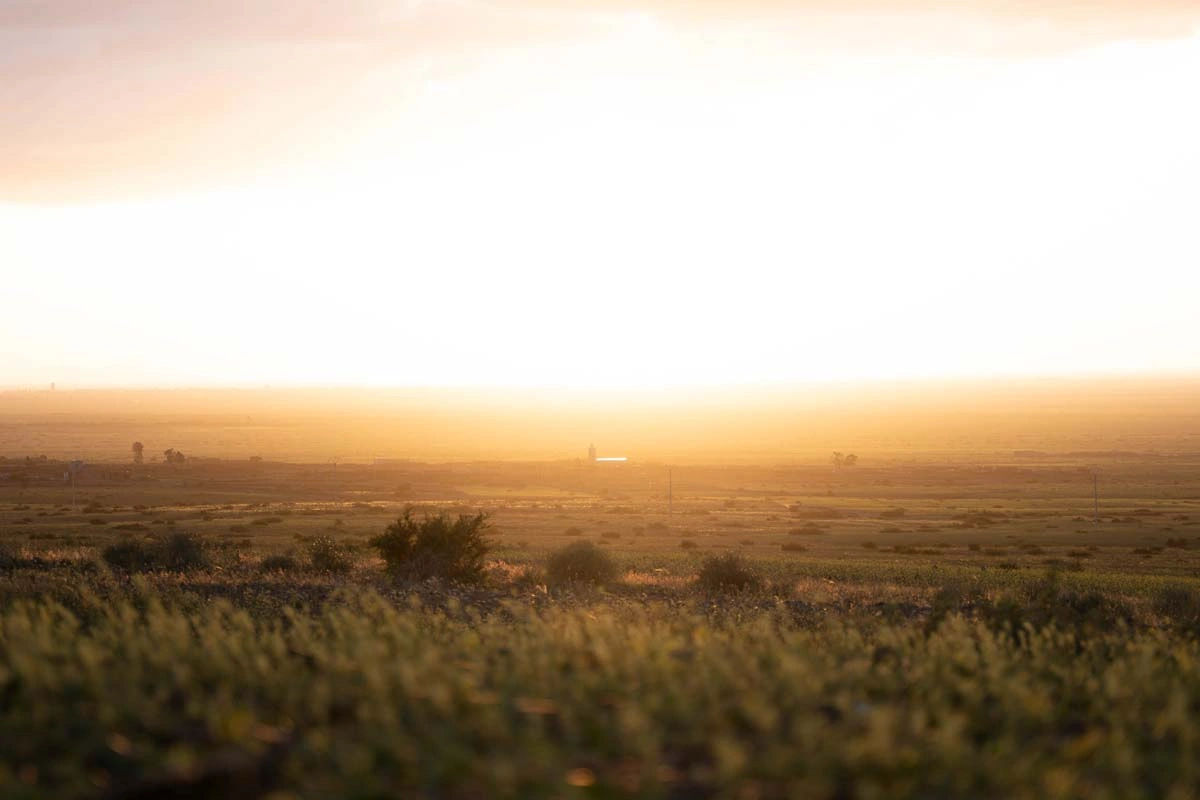Traditional Picnic Experience: Seasonal Dishes & Mint Tea in Nature 2