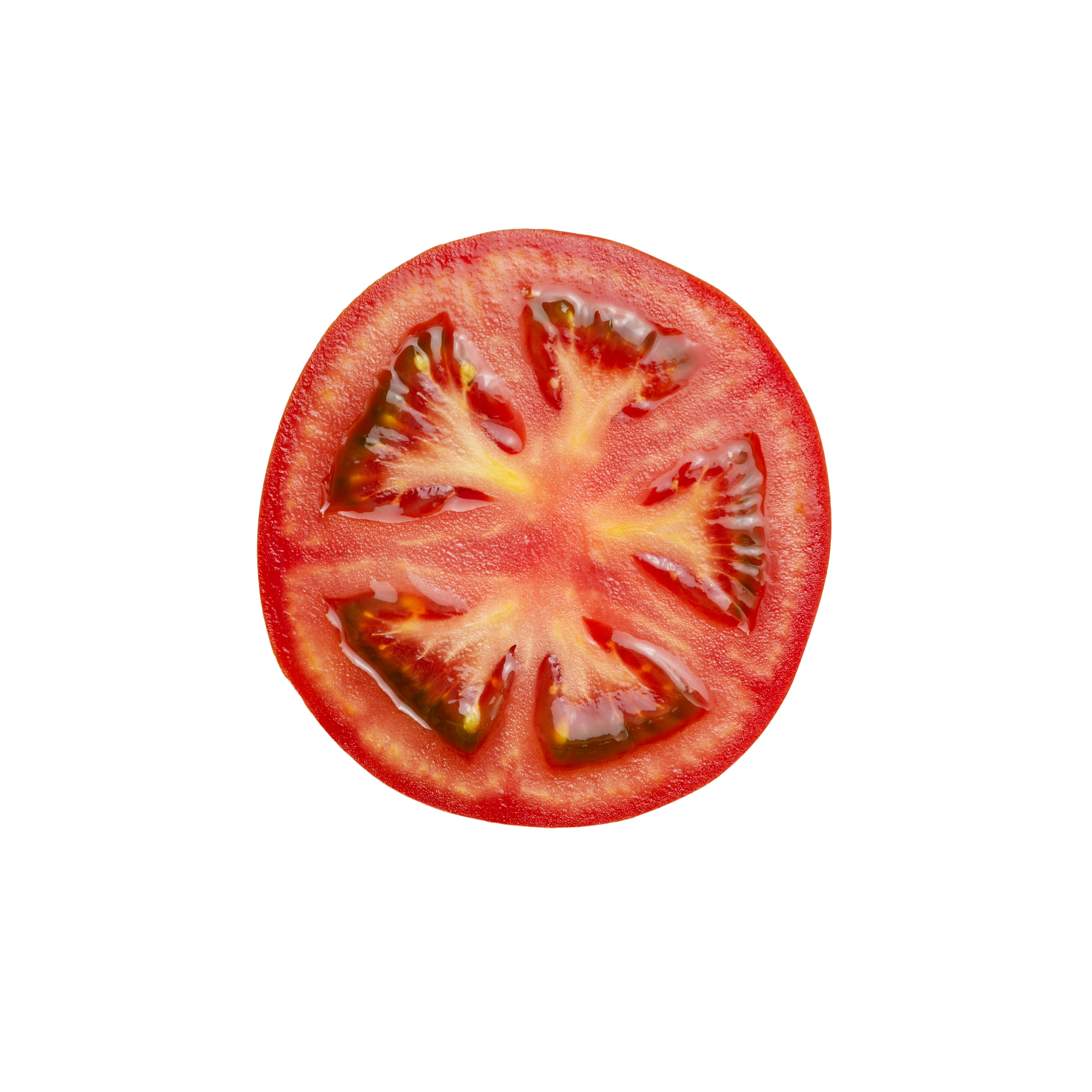 package of everything bagel egglife egg white wraps next to a hand holding a breakfast wrap sandwich