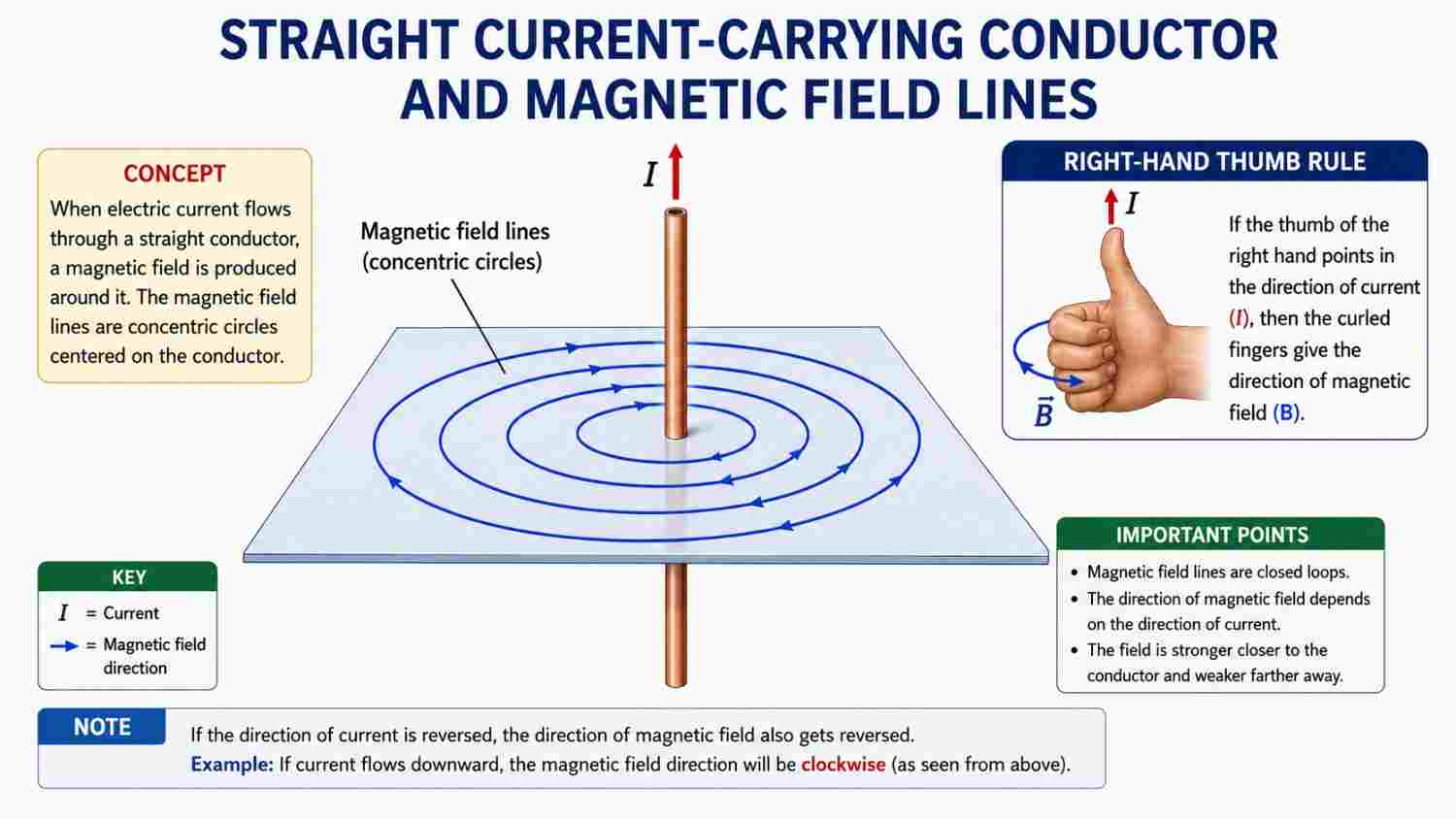 The magnetic field lines