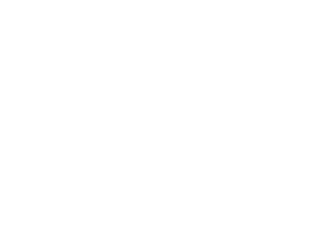 Sronstudio Logo 24445