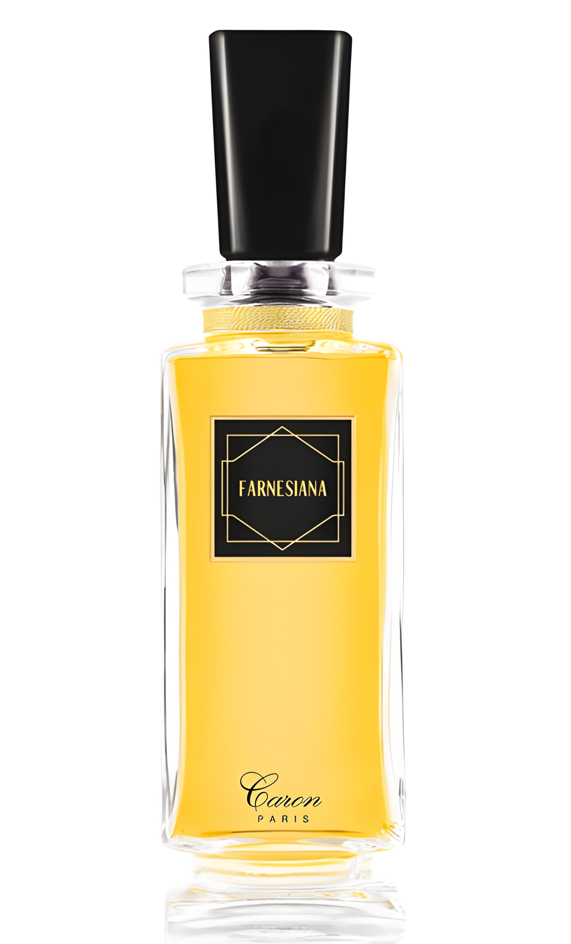 Picture of Farnesiana fragrance