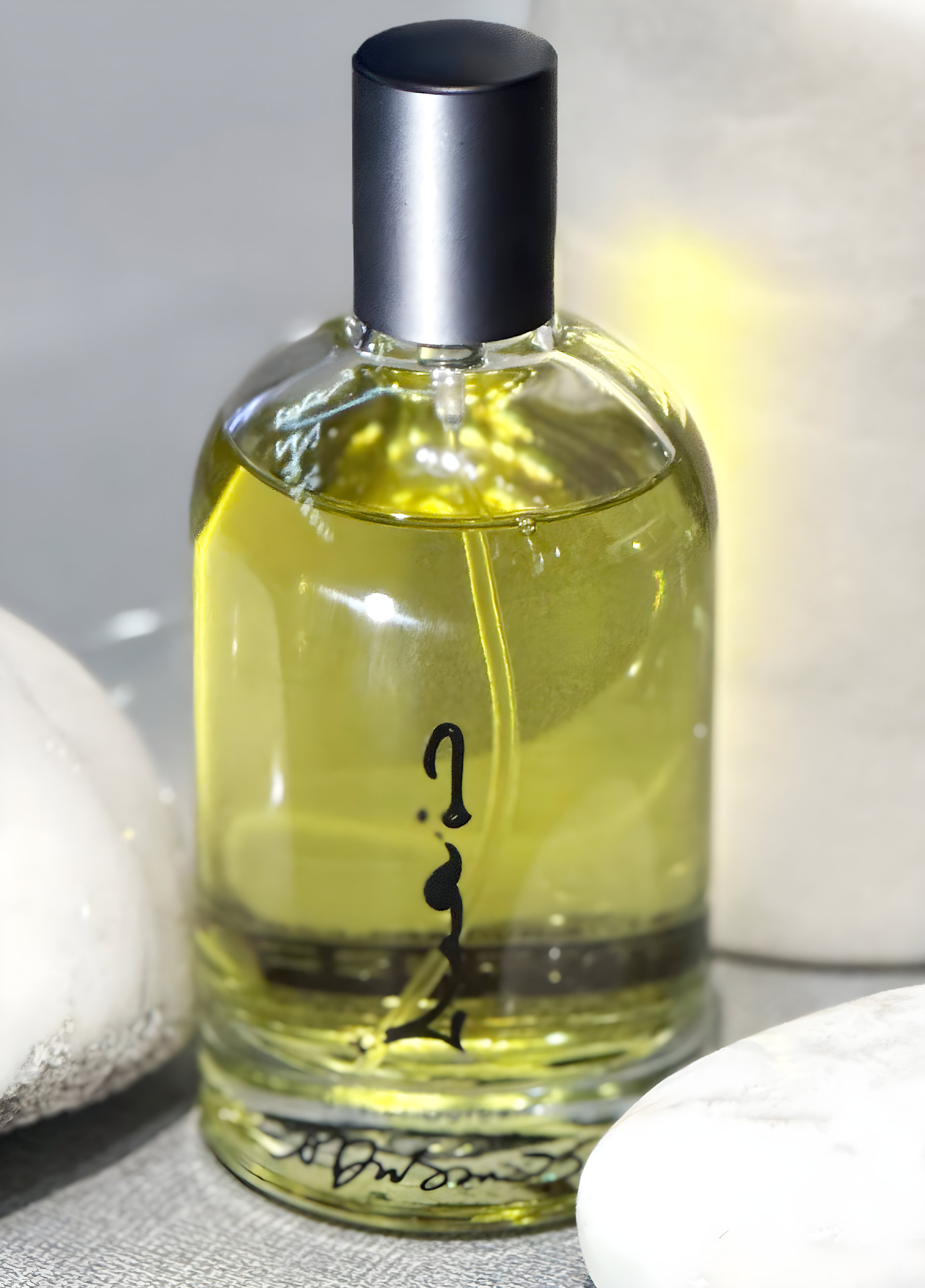 Picture of Pierre Blanche Prophetie 19:I.0 fragrance