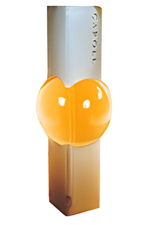 Picture of Caroll de Caroll fragrance