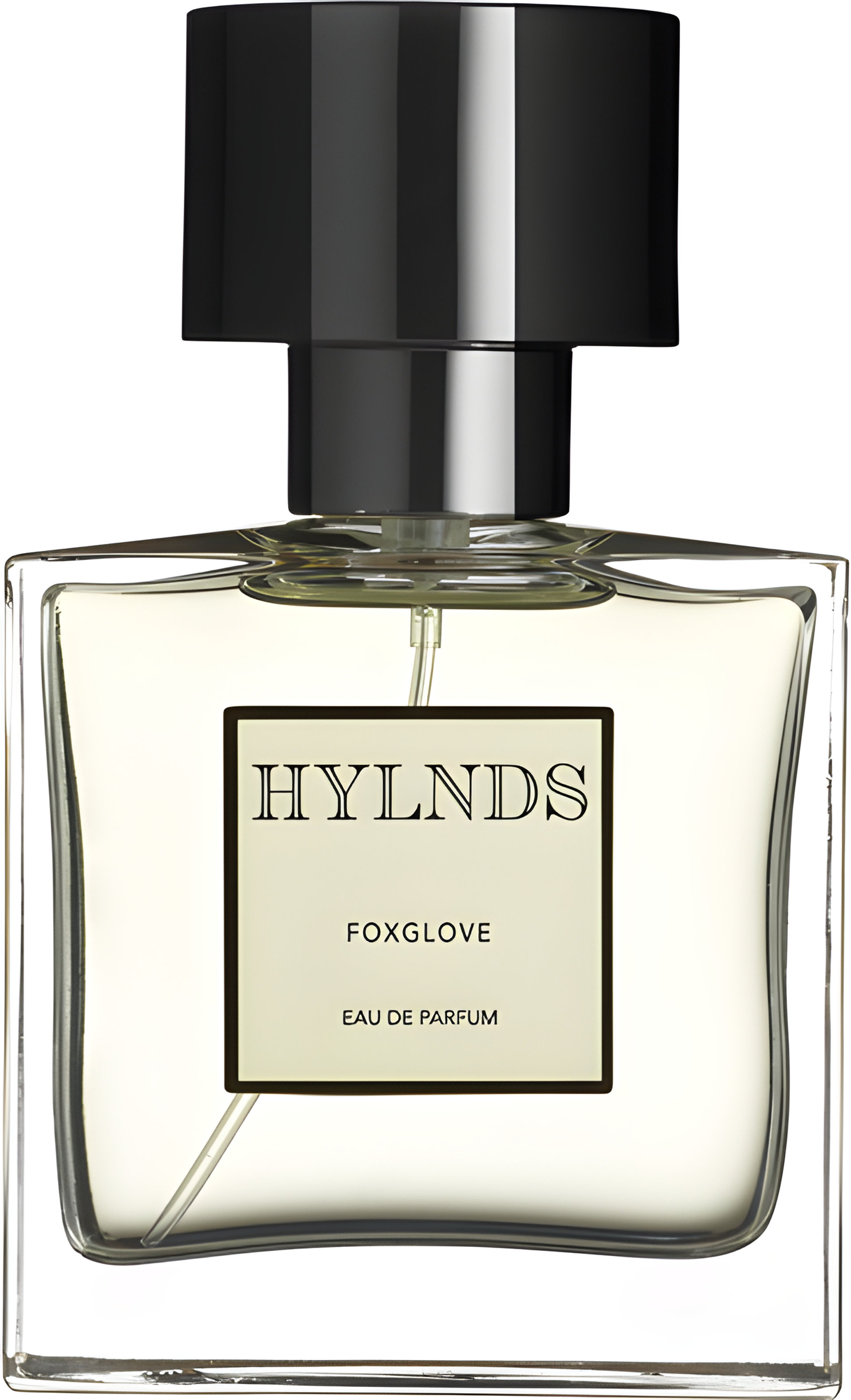 Picture of Foxglove fragrance