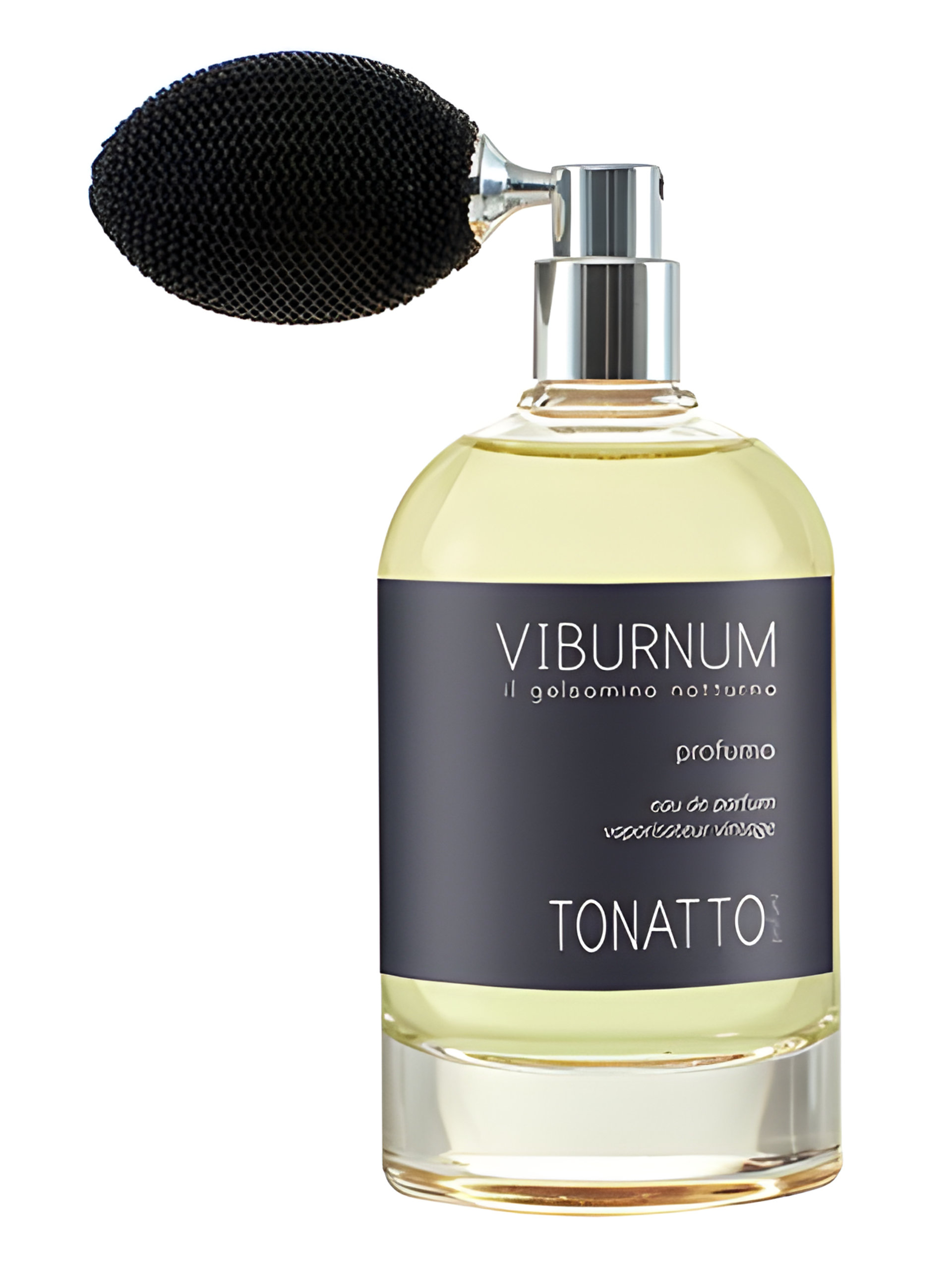 Picture of Viburnum fragrance