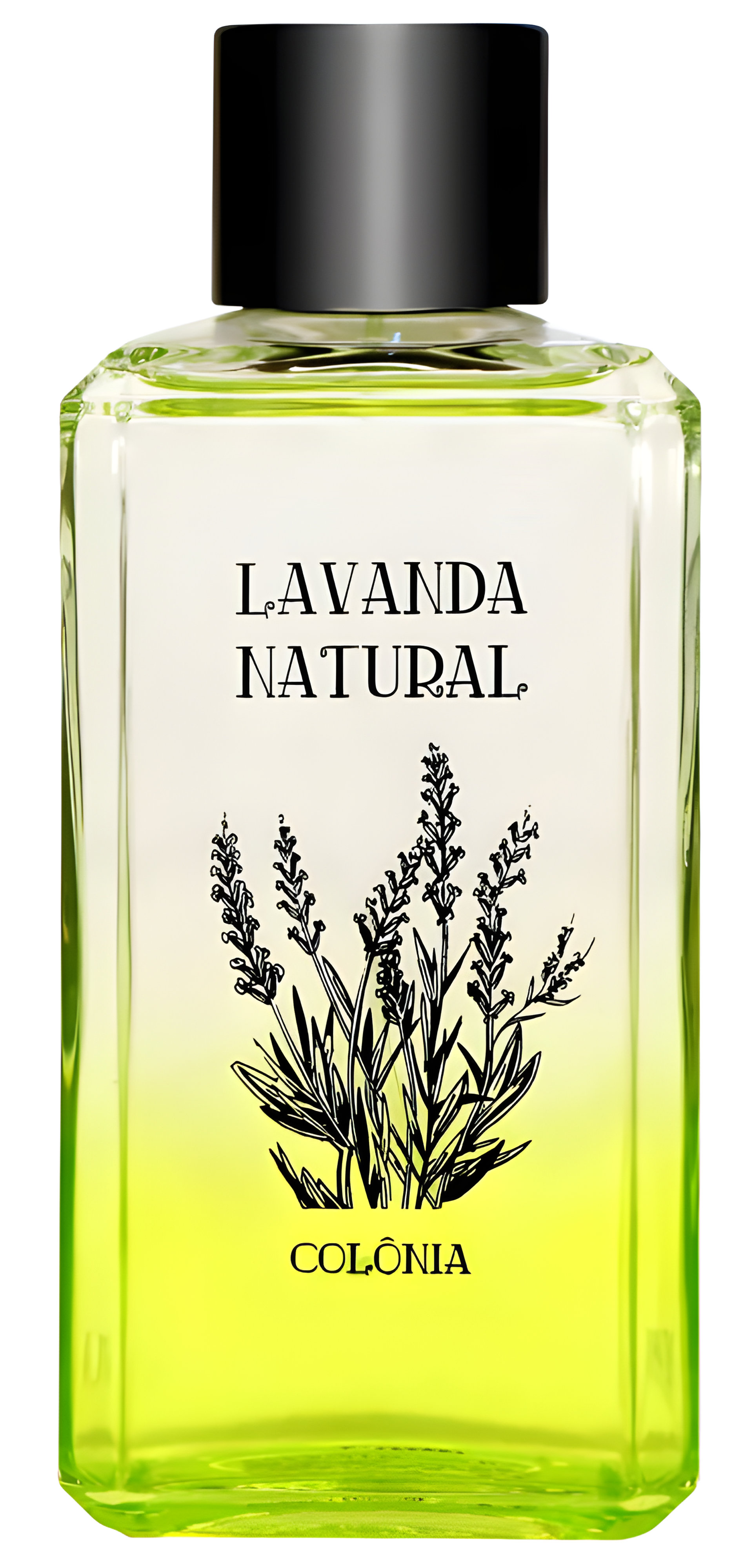 Picture of Lavanda Natural fragrance