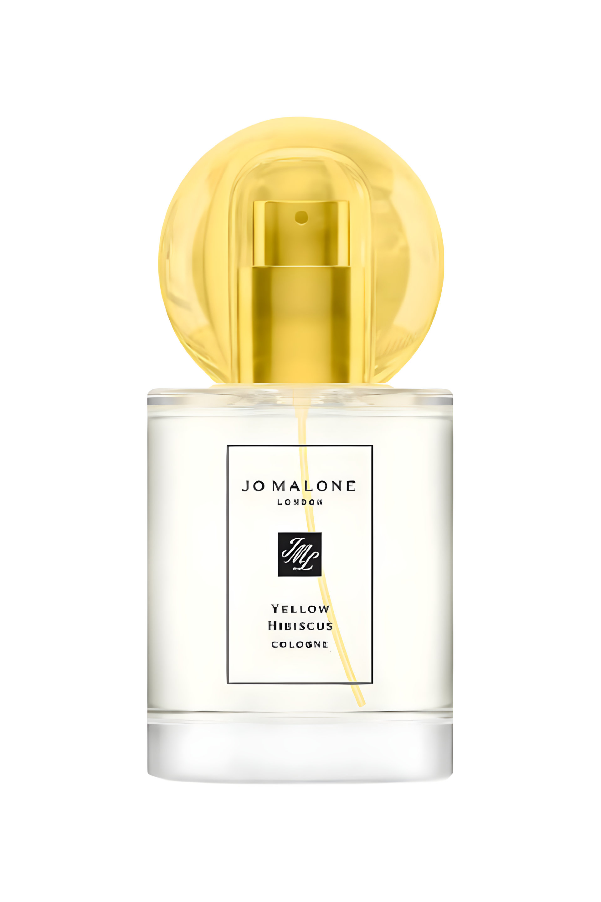 Picture of Yellow Hibiscus fragrance