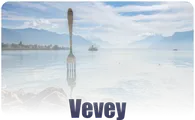 Pole dance classes in Vevey