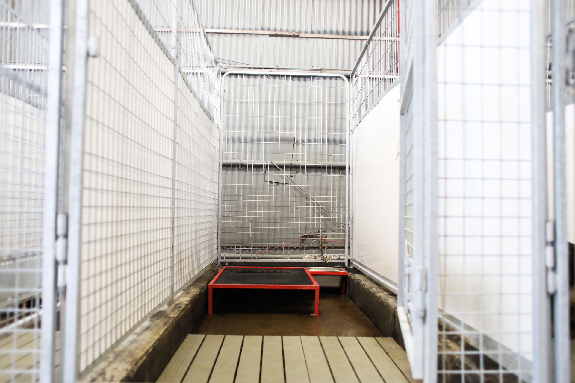 Delta K9 hotel photo 7