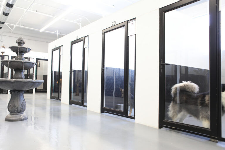 Delta K9 Academy hotel suite