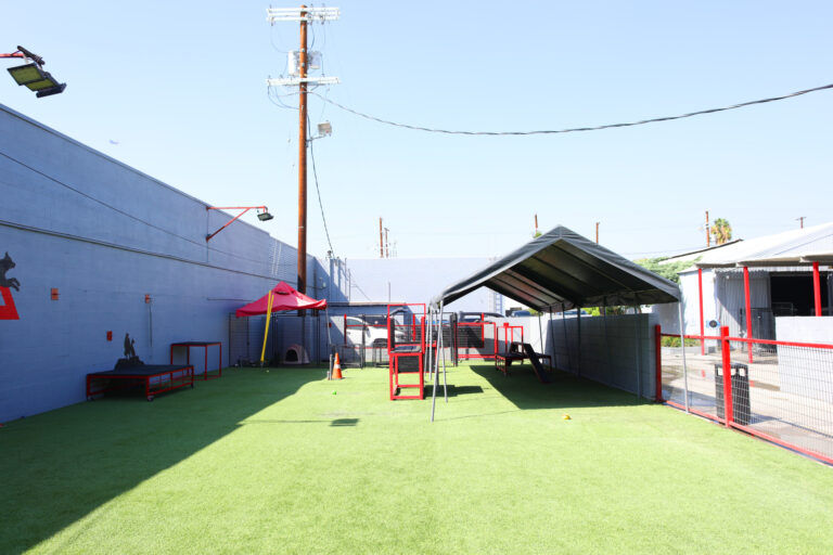 K9 Hotel & Boarding
