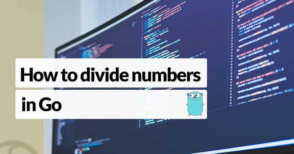 How to divide numbers in go correctly