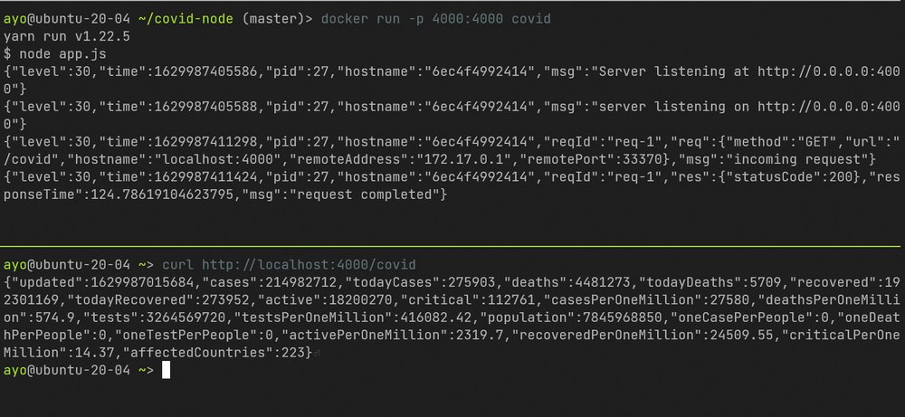 Screenshot of docker run command