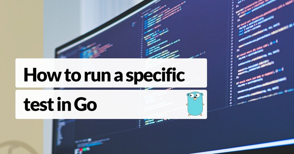 How To Run A Specific Test In Go