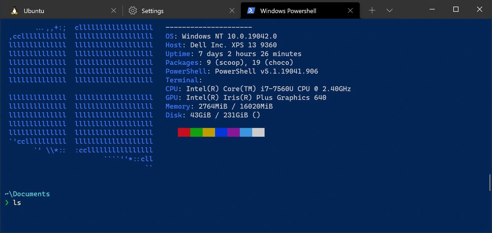 Windows Terminal showing Campbell Powershell colour scheme
