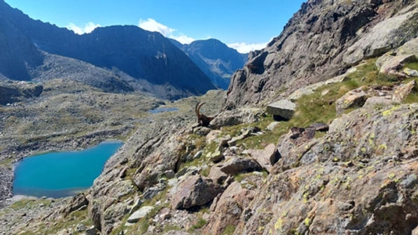 Corno Baitone - foto 28