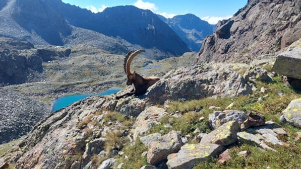 Corno Baitone - foto 27