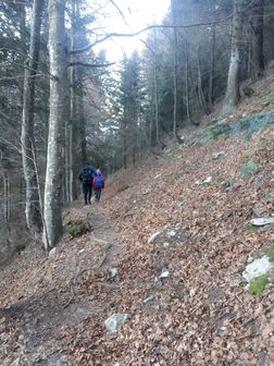 Corno di Pichea e Mazza di Pichea - foto 3