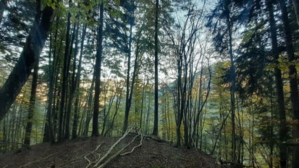 Croce di Pizzo, il Pizzo e Cima Menna - foto 7