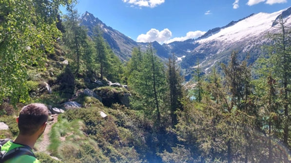 Monte Campellio e Passo di Campo da Rasega - foto 4