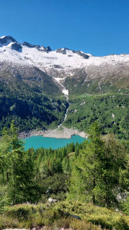 Monte Campellio e Passo di Campo da Rasega - foto 5