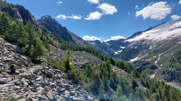 Monte Campellio e Passo di Campo da Rasega - foto 6