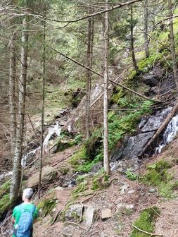 Monte Campellio e Passo di Campo da Rasega - foto 32
