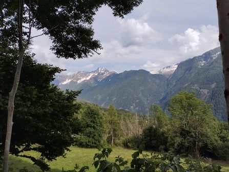 Monte Campellio e Passo di Campo da Rasega - foto 33