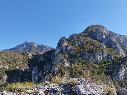 Monte Carone da Limone - foto 3
