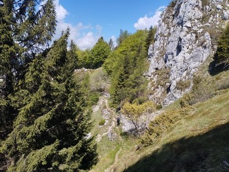 Monte Carone da Limone - foto 10