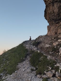 Monte Pelmo - Cengia di Ball - foto 6