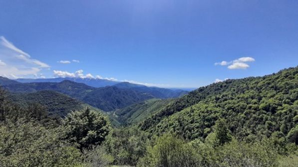 Monte Stino e Monte Cingla da Vesta - foto 5