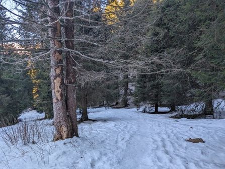 Monte Timogno e Cima Benfit - Invernale - foto 18