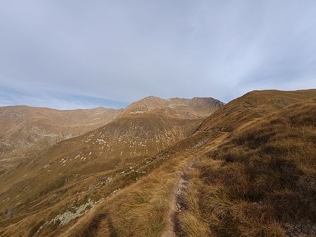 Monte Torsoleto e Bivacco Davide da Loveno - foto 4
