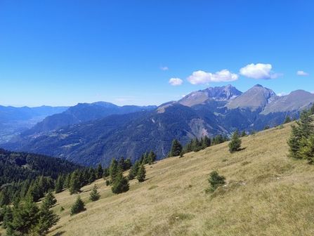 Monte Vaccio - foto 6
