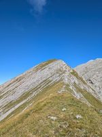 Monte Vaccio