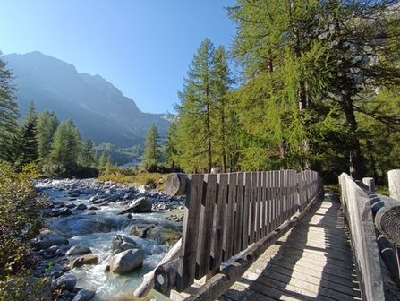 Sentiero del Matarot e Cresta Croce - foto 4