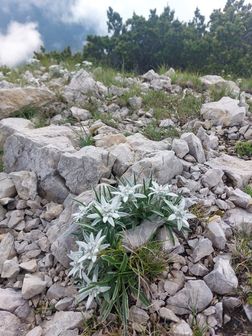Traversata del Monte Baldo - foto 14