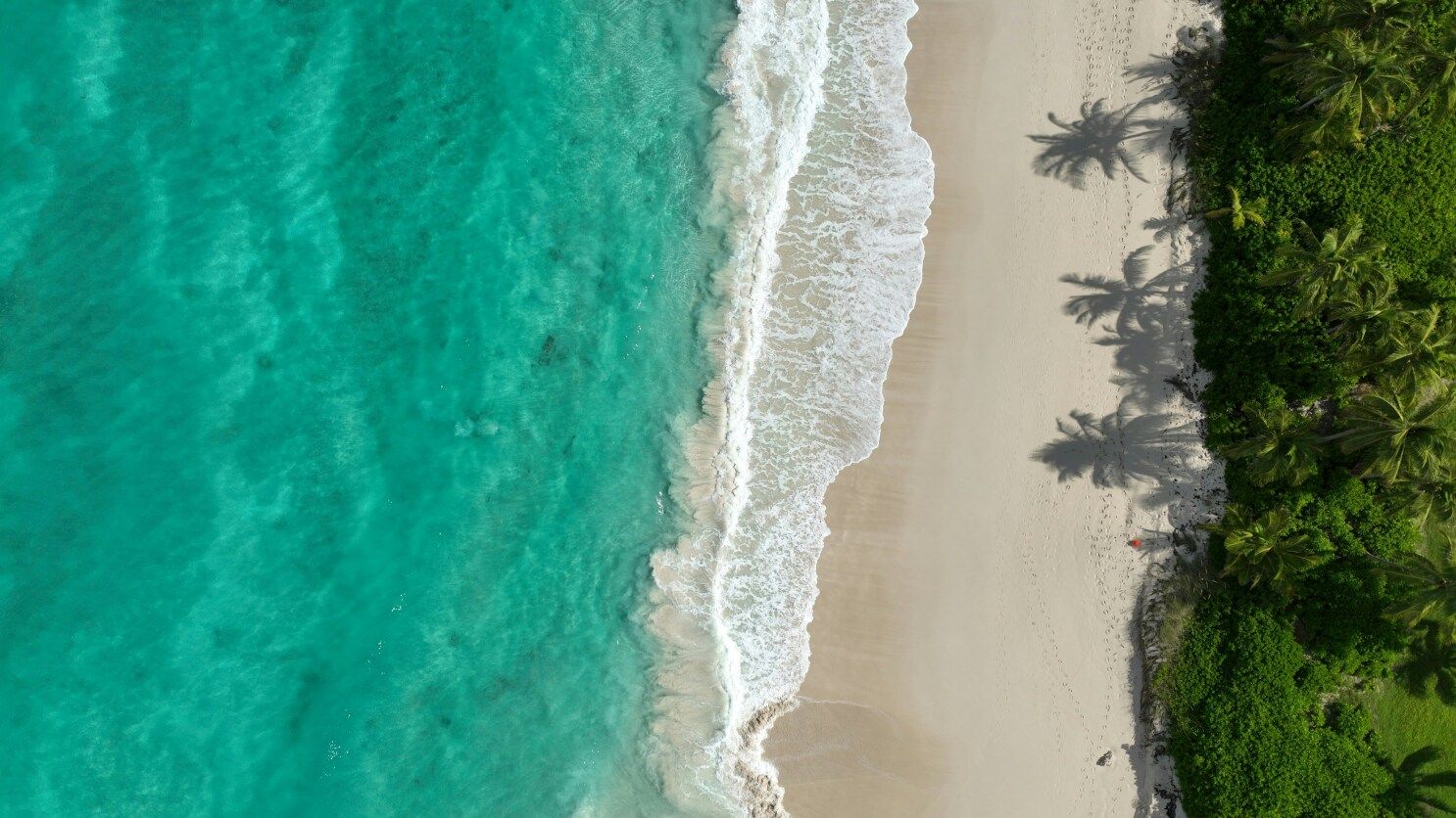 Grand Bahamas Island