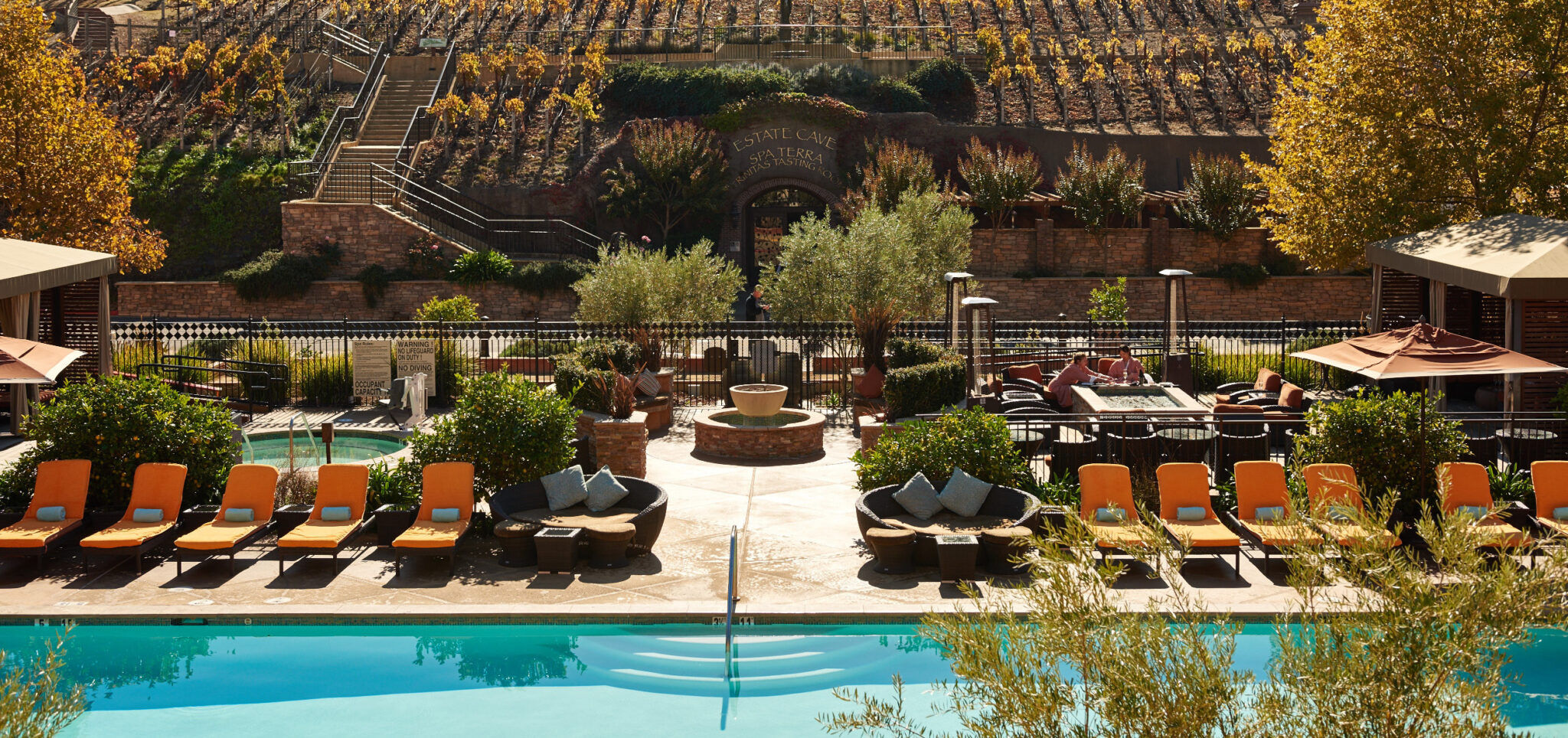Napa Valley Winners Choice